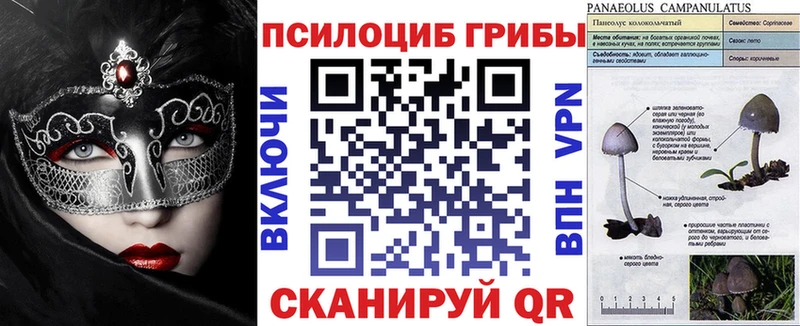 Псилоцибиновые грибы мухоморы  магазин продажи   Кувшиново 